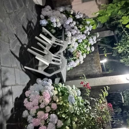 몬포르테데레모스 O Toxal 빌라 외부 사진